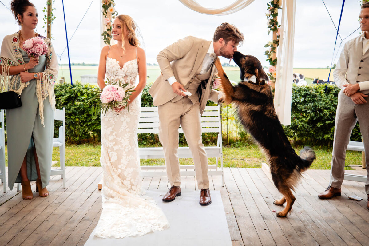 bruidsfotograaf den bosch