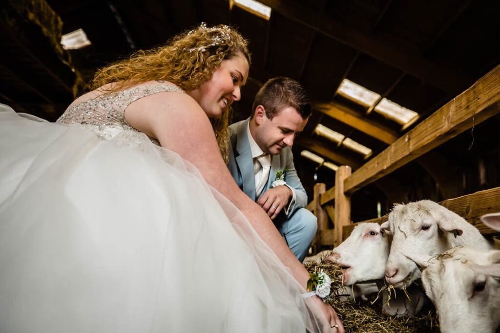 trouwen-bij-het-wapen-van-zoetermeer-foto-270-of-310