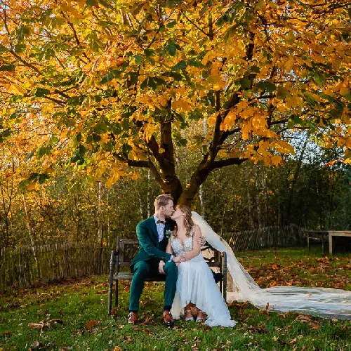 Een bruidspaar zit kussend op een houten bankje onder een grote boom met felgele herfstbladeren. De bruid draagt een witte jurk met een lange sluier over het gras, en de bruidegom draagt een stijlvol donkergroen trouwpak.