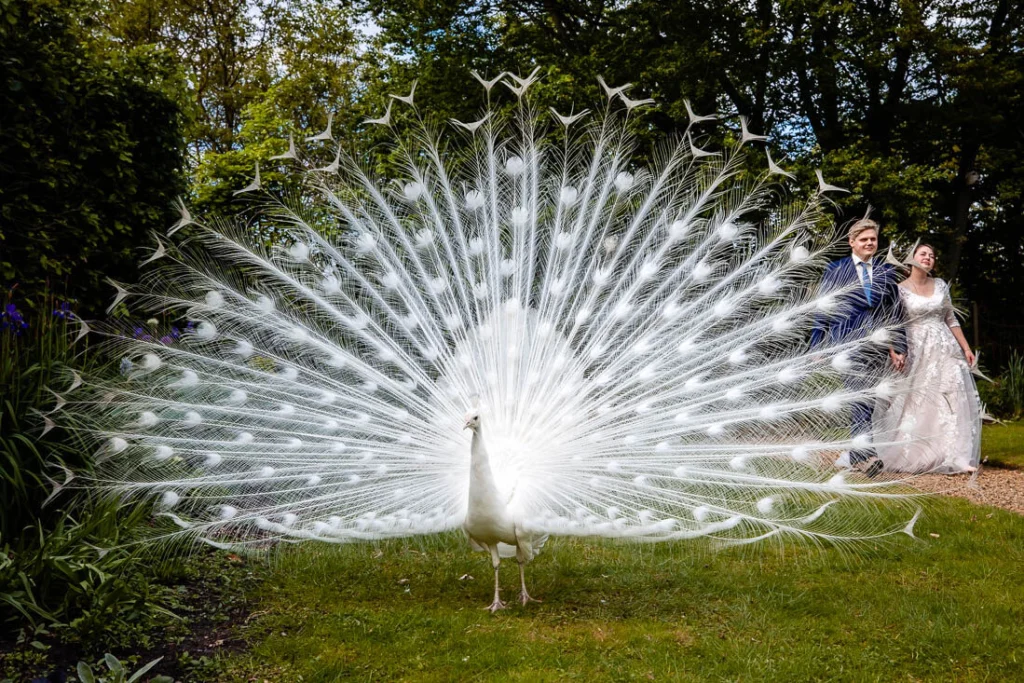 trouwfoto nandi en sjoerd 15